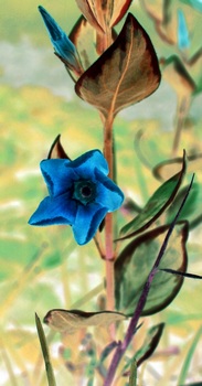 F 044A